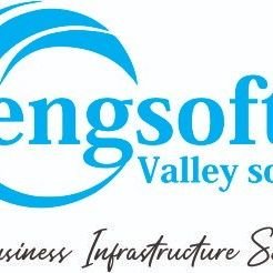 Biometric Time Attendance, CCTV, Payroll, HRMS PABX, VOIP,Sacco,Asset tagging,Weighbridge software, Canteen management system, Visitor management Software