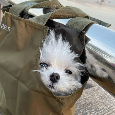 Colleen346's profile picture. I used to work as a project auditor at Binance. Currently the Chief Emerging Currency Analyst at Apax Partners LLP Private Equity, focusing on entry-level crypt