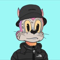 Josh.TOONZ (@thecryptocanoe) 's Twitter Profile