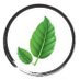 Botanical Remedies LLC (@botremllc) Twitter profile photo Botanical Remedies LLC (@botremllc) Twitter profile photo
