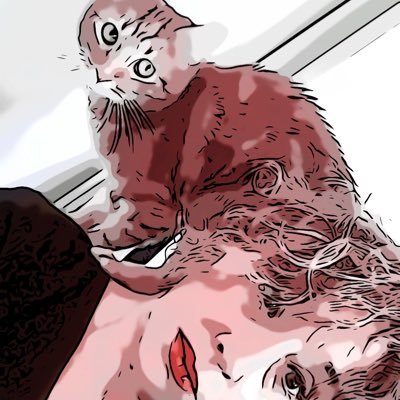 corinneSimoni's profile picture. dircom #politiques publiques #aménagement du territoire #logement#santepublique