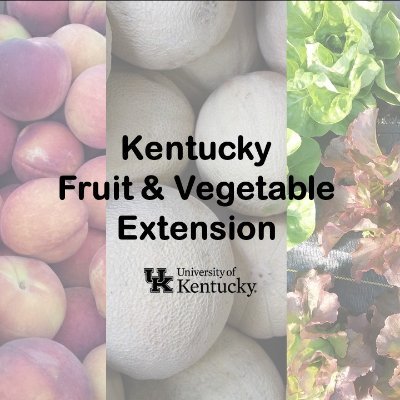 UKY Extension Specialists provide information on diseases, pests, weeds, other issues, & production practices for homegrown & commercially grown fruit & veggies