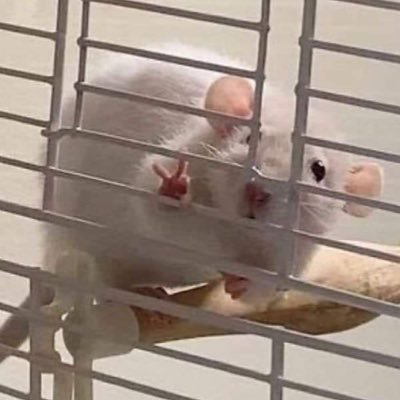 Ironmoon31's profile picture. 🎬 ça geek 🤷🏻‍♂️