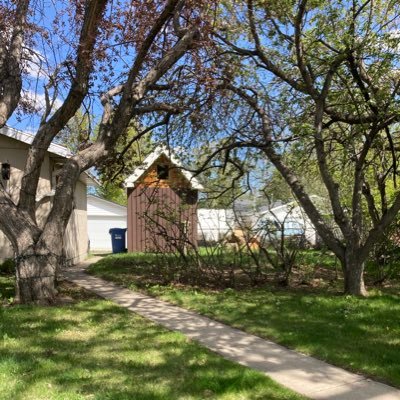 #Plants #Yard #Garage #Trees #Old #Furniture #Perennials #Garden Central #Alberta Zone 4a, Heartiness 40.