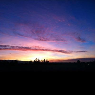 Invisible Disabilities Advocate | Photographer & Writer at ❤️ | Compassion Trainer | Advocate #storyteller | https://t.co/LMWI4DqloE