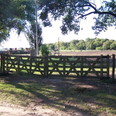 profedelle's profile picture. 