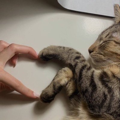 _27Leena's profile picture. 