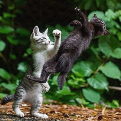 432db0df304d4f0's profile picture. 直男