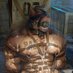 Caribbean himbo🏳️🌈 (@gayboy868) Twitter profile photo Caribbean himbo🏳️🌈 (@gayboy868) Twitter profile photo