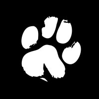 Crypto Sleepless Dog (@sleeplessdogs) 's Twitter Profile