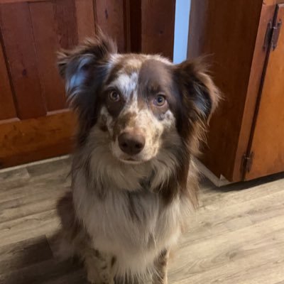 maryleelee's profile picture. 