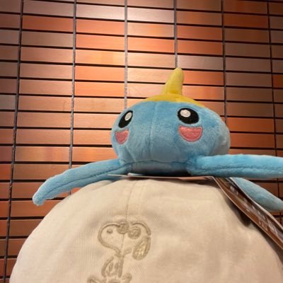 大学2年生/WEB制作勉強/2022.6.22/ZeroPlus48期生 /現在第1目標はweb制作会社と業務委託契約すること!/ご要件のある方はDMまで🙇⤵︎