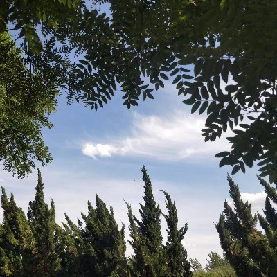 XueMax's profile picture. scaffolding    suspended platform