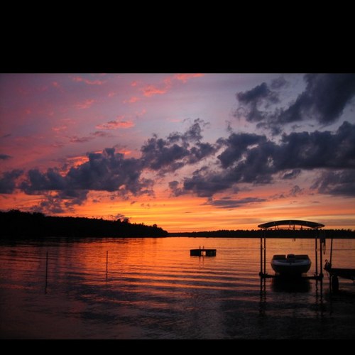 T_C_Han's profile picture. 