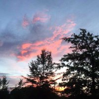 ngray6 (@ngray251) 's Twitter Profile