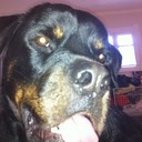 Marsha Starr - @marshajeanne - Twitter