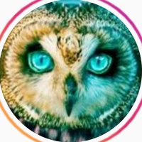 Sol Zapata (@sol_zapata93) 's Twitter Profile