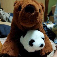 まる (@asedakumaru) 's Twitter Profile Photo