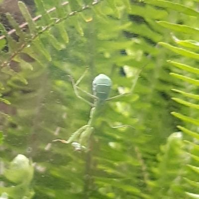 Quampsu's profile picture. 