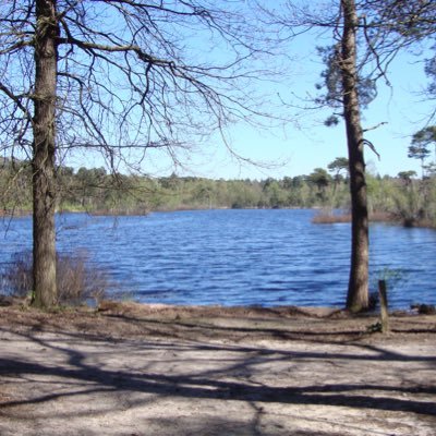 AWijshijer's profile picture. 