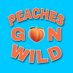 PeachesGon’Wild🍑 (@peachesgonwild) Twitter profile photo PeachesGon’Wild🍑 (@peachesgonwild) Twitter profile photo