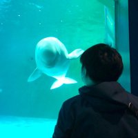 こまっしー (@komasssssy) Twitter profile photo