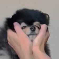 •`_~•