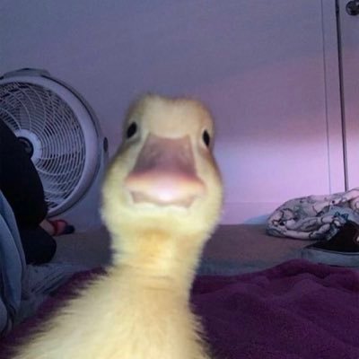 Amilcar204's profile picture. He/Him