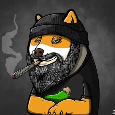 I am a fan of $DOGE! **REGULAR EVERY GUY** I like what I like damit! I am spicy but in a good way!