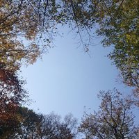 TETU (@tetu_24_cw) 's Twitter Profile
