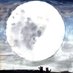 Gavin🧬 Cellula 🧬 (@t32658669) Twitter profile photo Gavin🧬 Cellula 🧬 (@t32658669) Twitter profile photo