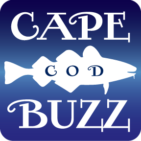 Buzzing about what's hot on Cape Cod