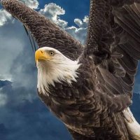Andy (@schwerin19055) Twitter profile photo