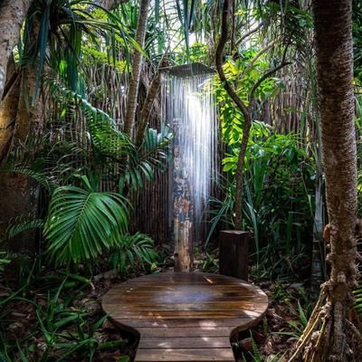 boblesinko's profile picture. Polymath