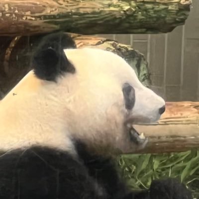 【 日本語学校から実況中継!! 】 都内の日本語学校で専任講師をしています。日々の日本語教師の仕事や外国人学習者とのふれあいをお伝えしていきます。これからの日本語学校に必要な力を模索しています。食べてばかりの日常も発信! 雑談指導/PBL/シュタイナー教育/生成AI/登録日本語教員