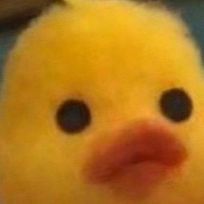 guakwaey's profile picture. 🌟 . * . 🌙 * . 🛰️ . ✨ * . 🚀 🪐