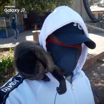 Taema_ya_Jr's profile picture. 