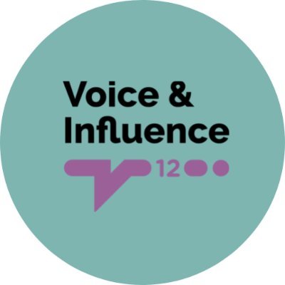 Hull's Voice and Influence Team, working with young people as collaborators, equal partners, creators, evaluators and experts in their lives.