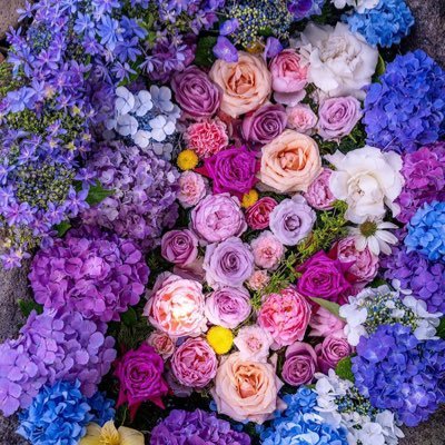 houkiboshi_sayu's profile picture. 