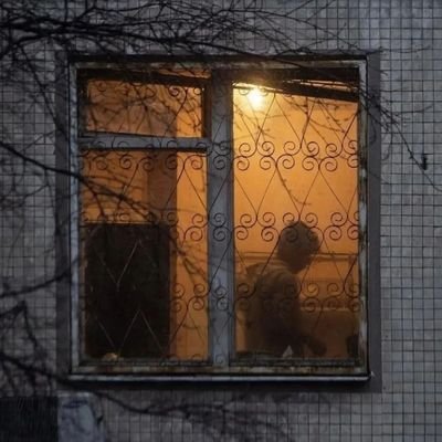 Heizenbxrg_'s profile picture. 23