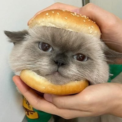 minihearttttt's profile picture. ส่งต่อคสอ. ส่งต่อสกินเเคร์ ส่งต่อของใช้ มีทั้ง 1 / 2 น้าา 📮Shipping Flash 40.- only kaa 🌷สั่งซื้อ หรือ ขอภาพเพิ่มเติม ทัก Dm kaa (ของแท้ 100%) #minmoonรีวิว