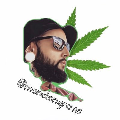 MonctonGrows's profile picture. ACMPR LICENSED - SPONSORED GROWER