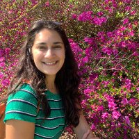 Sajya Singh (@sajyasingh) Twitter profile photo