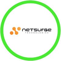 Netsurge Technologies | Digital Marketing | SEO(@netsurgetech) 's Twitter Profile Photo