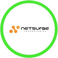 Netsurge Technologies | Digital Marketing | SEO (@netsurgetech) 's Twitter Profile