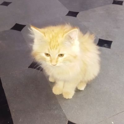 Farooqusayed's profile picture. Sayed