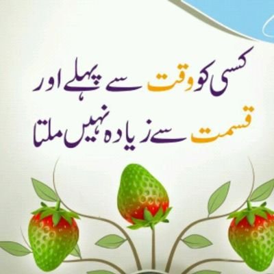 MalikKa49642731's profile picture. 