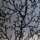 Nancy Wittman - @nancywittman - Twitter