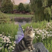 Sena Özdemir (@senning61) 's Twitter Profile