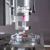 Biofabrication Würzburg (@biofabwue) 's Twitter Profile Photo Biofabrication Würzburg (@biofabwue) 's Twitter Profile Photo